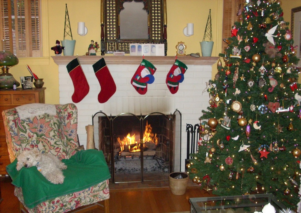 Warming by the fireplace, our best friend! (Bobbie Faul-Zeitler, CC 3.0)