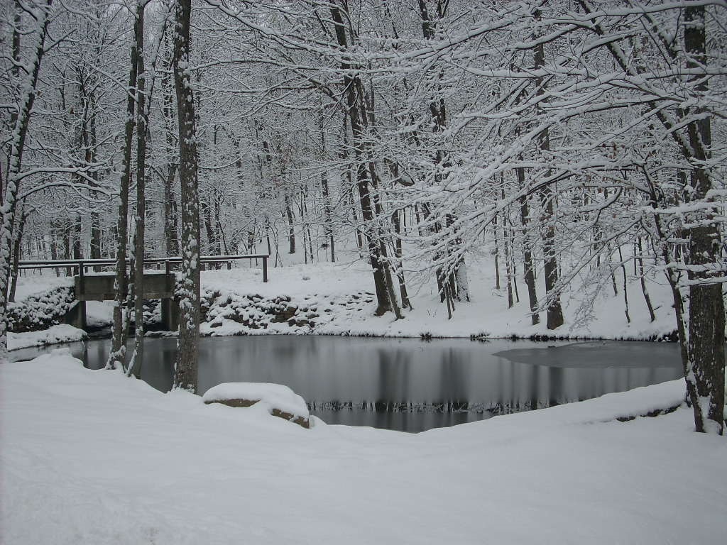 A flowing creek at Cacapon State Park (Bobbie Faul-Zeitler, CC 3.0)