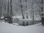 A flowing creek at Cacapon State Park (Bobbie Faul-Zeitler, CC 3.0)