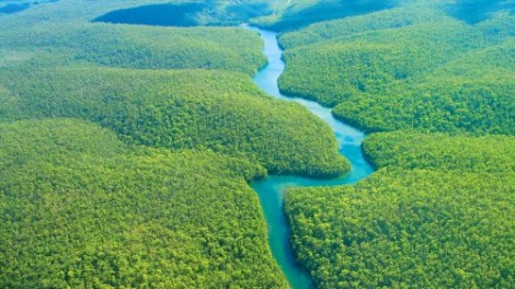 Amazon Rainforest Courtesy of foundtheworld