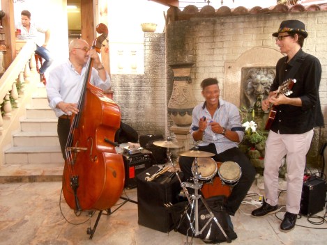 Trio performs at dinner (Photo by Meg Maguire)