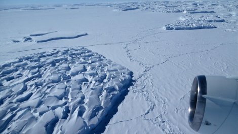 Large icebergs that have broken from the calving side of Thwaites Glacier in Antarctica in November 2014 NASA