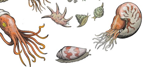 A slice of Spirals in Time