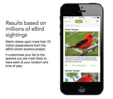 Merlin system for on-the-go birding