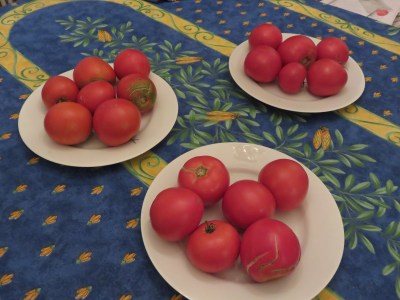 Summer bounty thanks to bees!