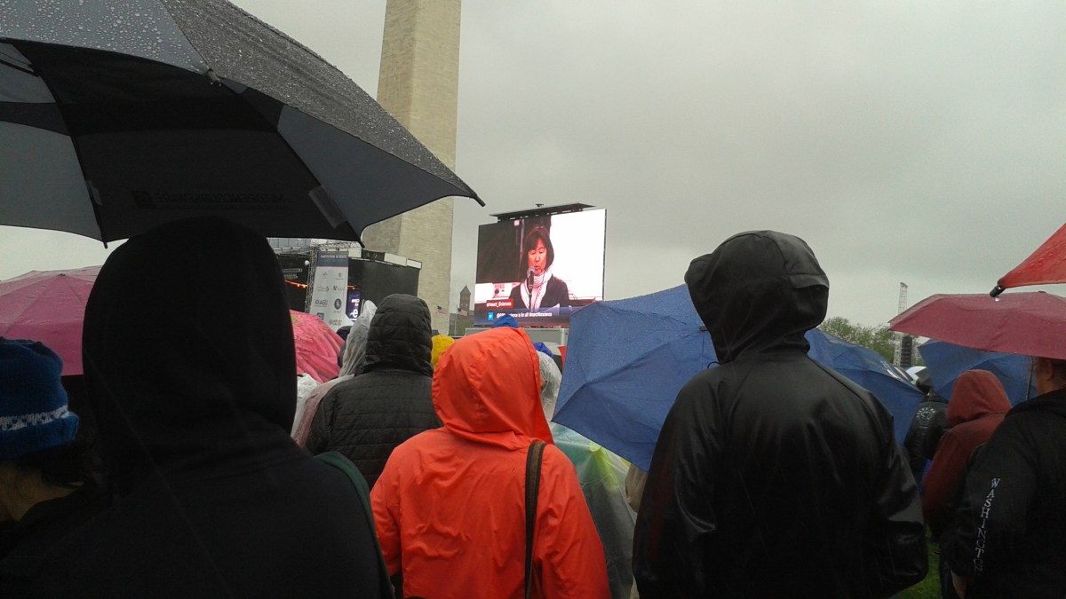 Maya Lin, who designed the Vietnam Memorial on the US National Mall, is also an environmentalist.