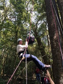 Dr Meg Lowman up in the canopy - look at that walkway!