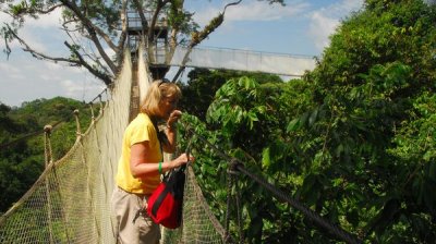 Look at that walkway! Dr Meg aloft (Photo thanks to Tested.com) 
