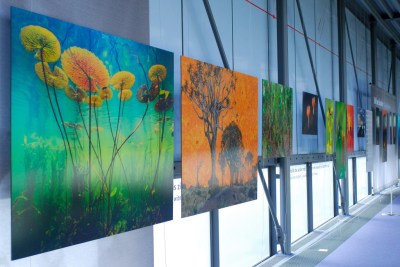 Frans Lanting exhibition at Naturalis, Leiden, The Netherlands. Courtesy Naturalis.