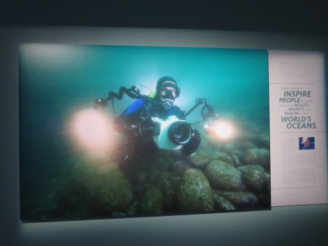 Courtesy of National Geographic