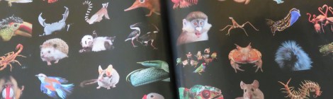 Photo spread in National Geographic (April 2016) shows a fraction of the thousands of species that have "sat" for portraits in the Photo Ark.