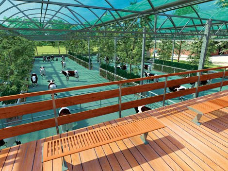 Artist's impression of floating dairy farm. Courtesy of Beladon