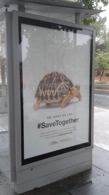 Transit shelter post from Photo Ark Washington DC