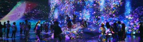 TeamLab borderless light show at the museum in Odaiba.