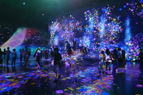 TeamLab borderless light show at the museum in Odaiba.