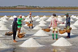 Sea salt being harvested. Courtesy of Wikipedia